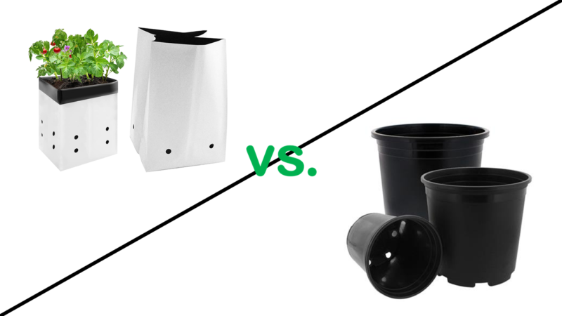 Maximizing Yield: Engineered Black & White Grow Bags vs. Standard Pots
