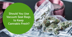 Should You Use Vacuum Seal Bags to Keep Cannabis Fresh?