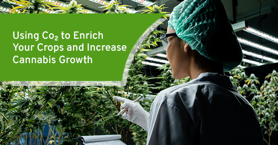 Using CO₂ to Enrich Your Crops and Increase Cannabis Growth