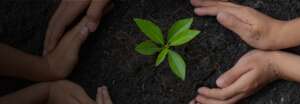 Eco-conscious Agricultural Films