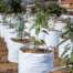 Bulk Grow Bags Manufacturer and Supplier