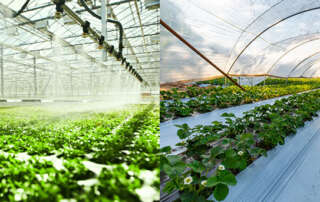 row Bags For Plants - polysprout.com