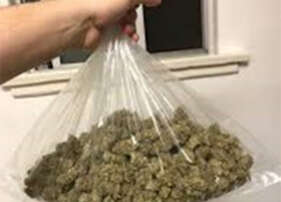 Bag Size Guide Polysprout™