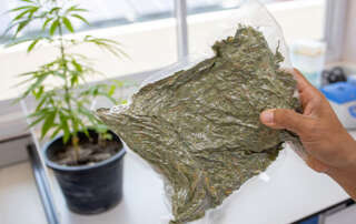 Bulk Vacuum Seal Bags