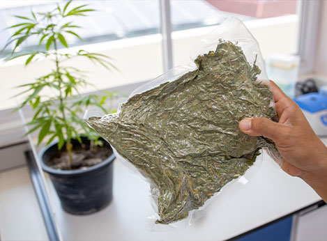 Bulk Vacuum Seal Bags